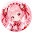 @あやぽむ_ayapomu910