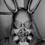 author photo