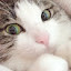 author photo
