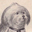 author photo