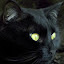 author photo