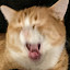 author photo