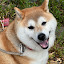 author photo