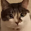 author photo