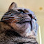 author photo