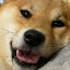 author photo