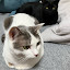 author photo
