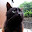 @どう-owo