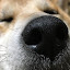 author photo