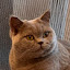 author photo