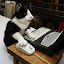 author photo