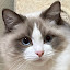 author photo
