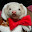 @ferret_sc