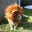 author photo