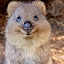 author photo