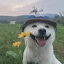 author photo