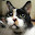@猫屋-o3h