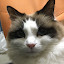 author photo