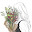 @nemi-q8i