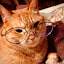 author photo