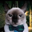 author photo