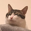 author photo