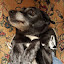 author photo