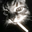 author photo