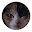 @三毛猫サクラ