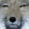 @FOX-Mccloud-雇われ遊撃隊