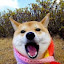 author photo