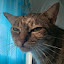 author photo