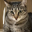 author photo