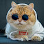 author photo