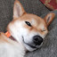 author photo