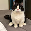 author photo