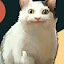 author photo