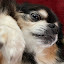 author photo