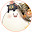 @ishi_haishin