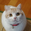 author photo