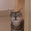 author photo