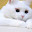 @ダイアー-j8l