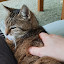 author photo