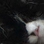 author photo