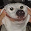 author photo