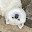 @ロクシチ67
