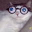 author photo