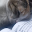author photo