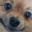 author photo