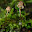 @青fungi-w9z